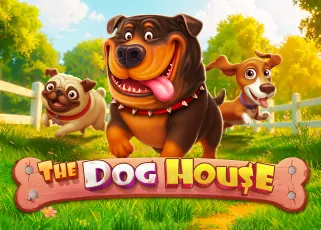 betmax168 The Dog House ทดลองเล่นฟรี